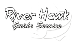 river hawk fishing guides
